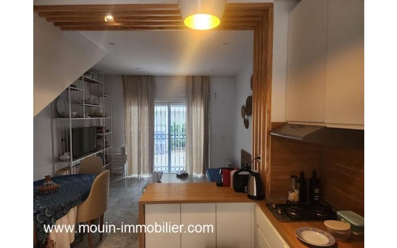 Duplex s+2 20