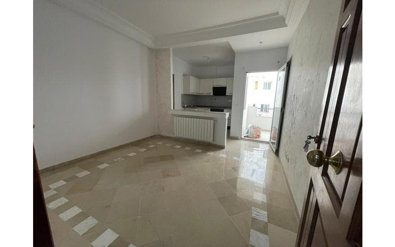 Appartement s+1