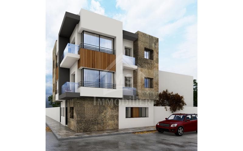 Appartement s+5 et plus 3