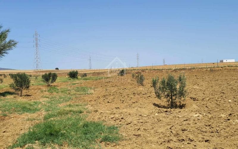 Terrain 3