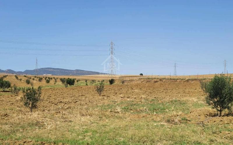 Terrain 4