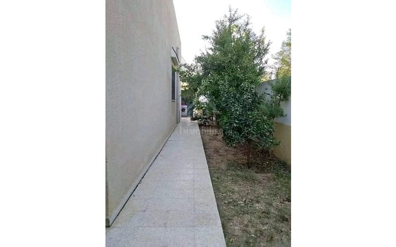 Maison s+3 6