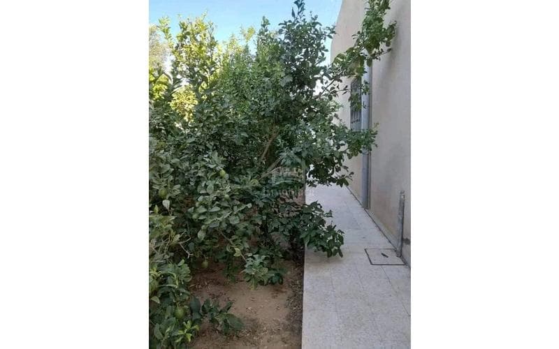 Maison s+3 9