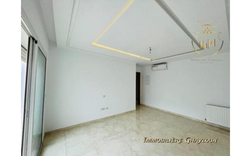 Appartement s+1
