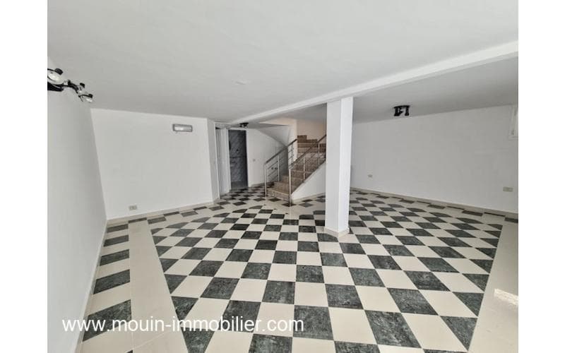 Duplex s+3 11