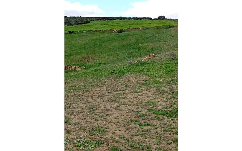 Terrain 2