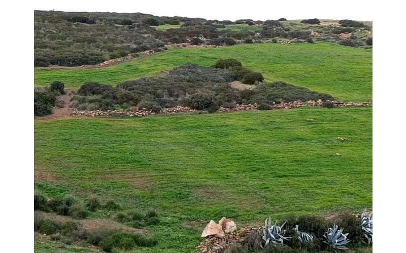 Terrain 5