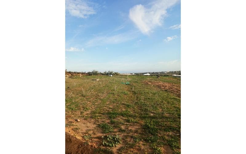Terrain 3