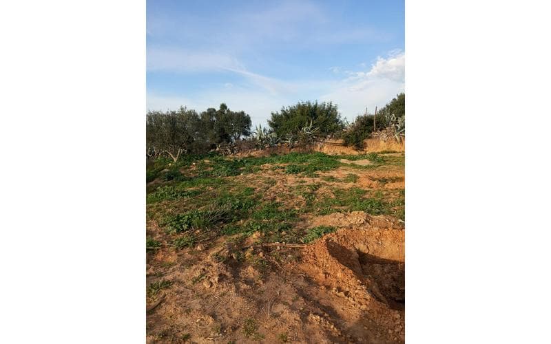 Terrain 4