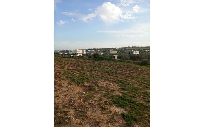 Terrain 5