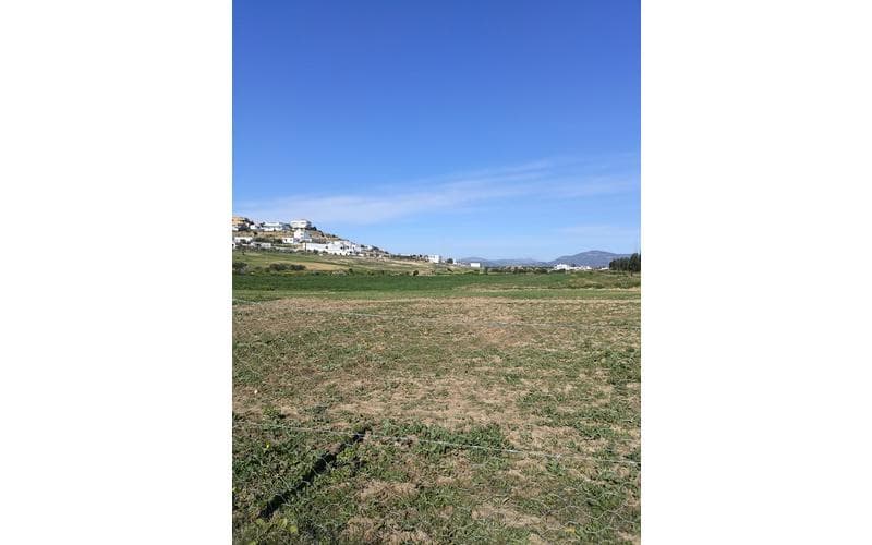 Terrain 6