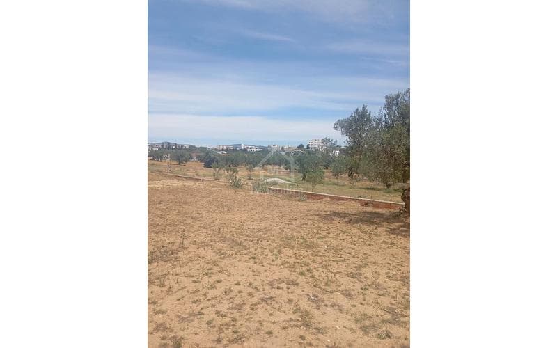 Terrain 4
