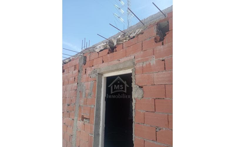 Terrain 2