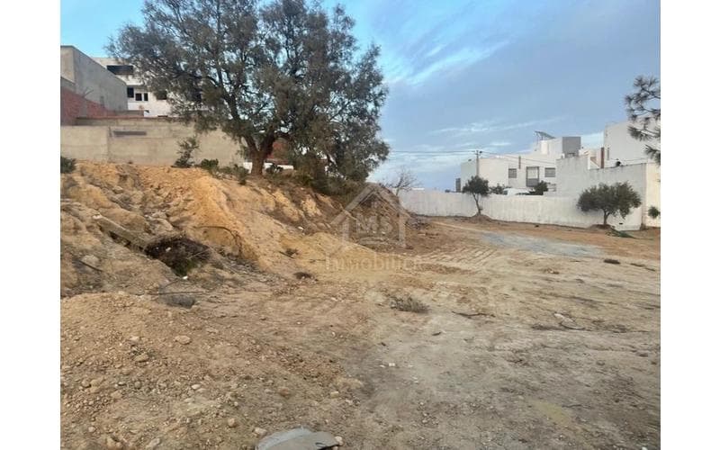 Terrain 2