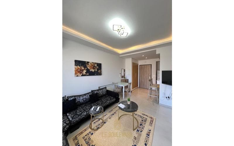 Appartement s+1