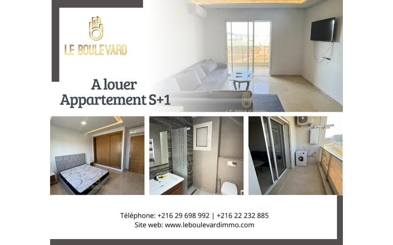 Appartement s+1