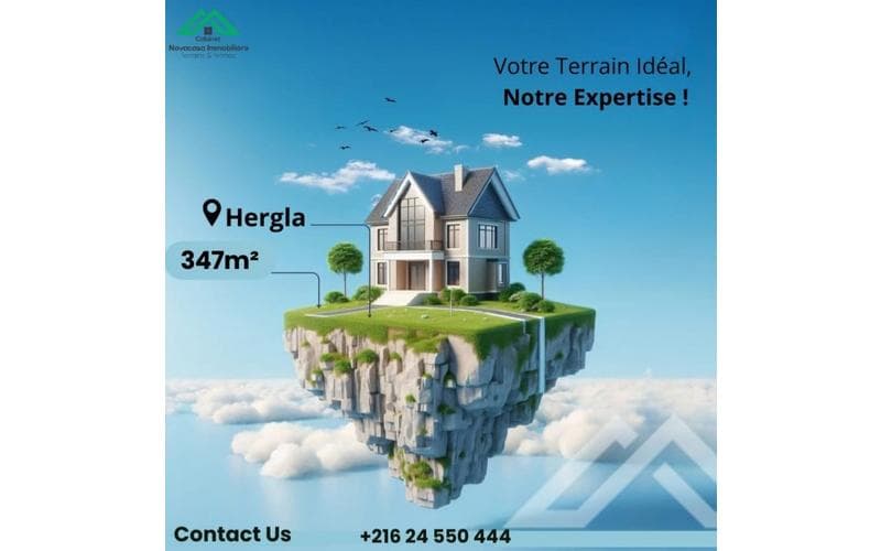 Terrain