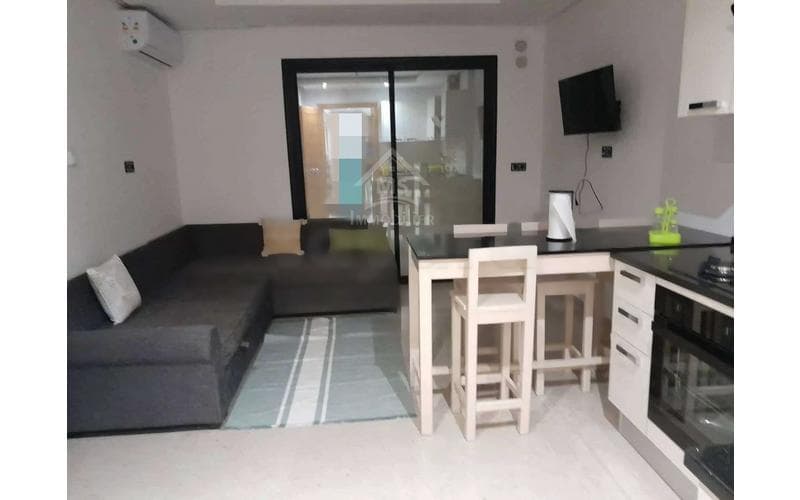 Appartement s+1 3