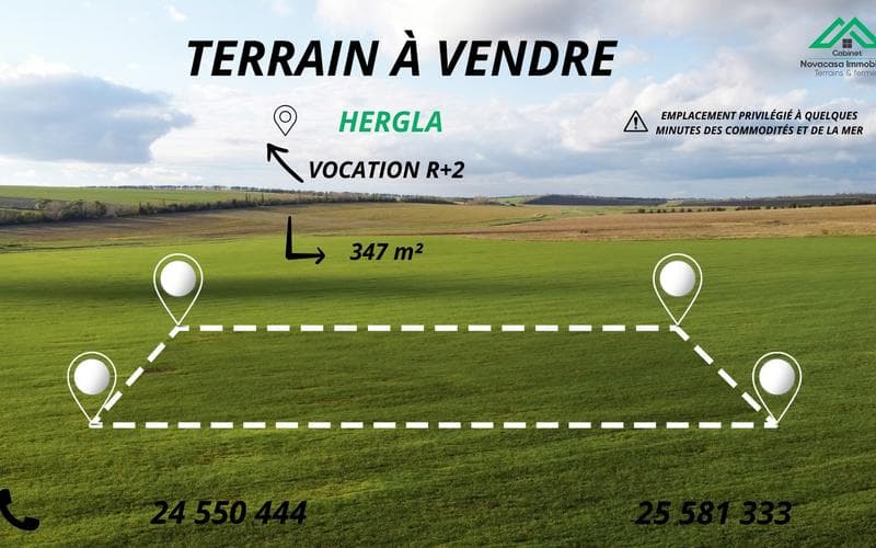 Terrain