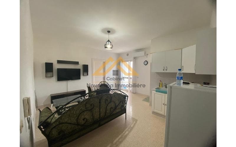 Appartement s+1