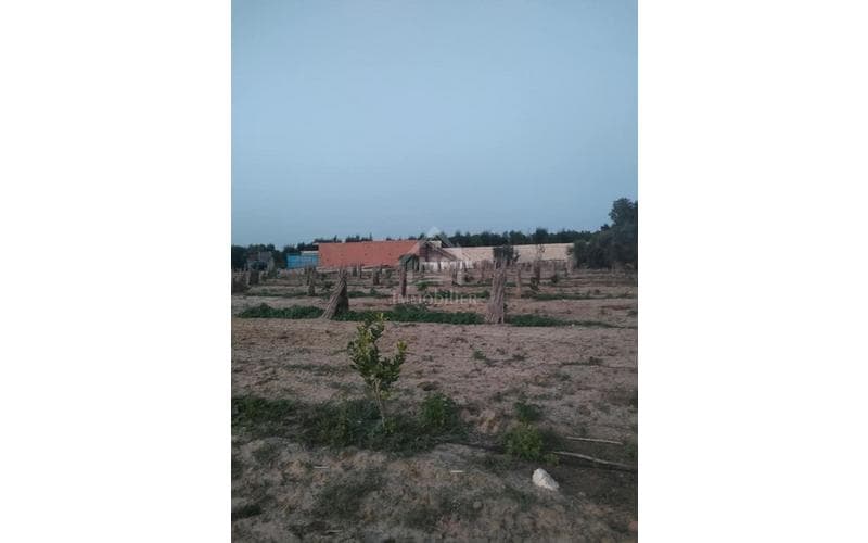 Terrain 6