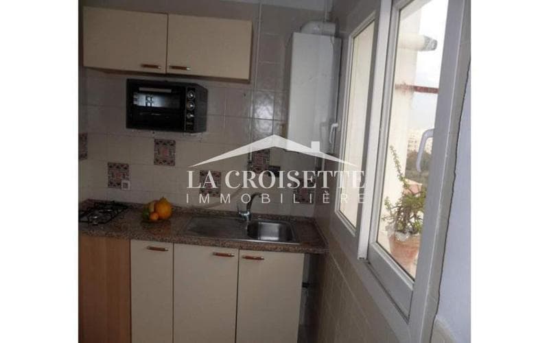 Appartement s+1 3