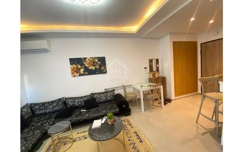 Appartement s+1