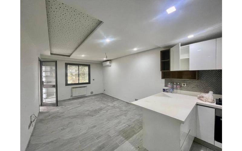 Appartement s+1 9