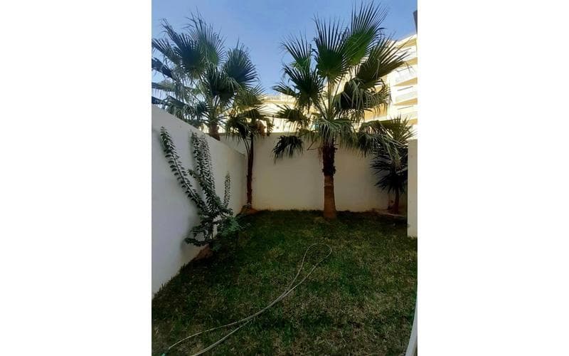 Appartement s+1 6