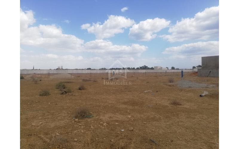 Terrain 3