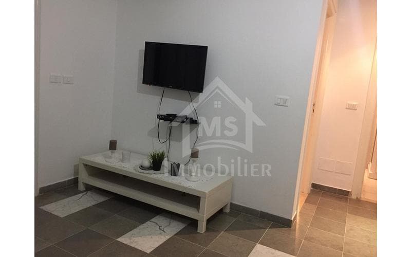 Appartement s+1 5
