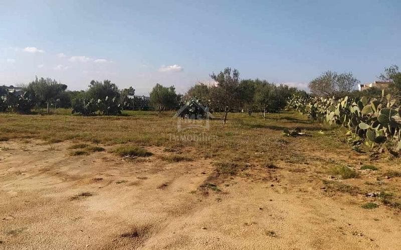 Terrain 3