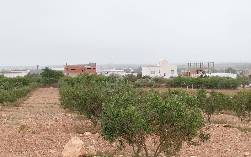 Terrain 5