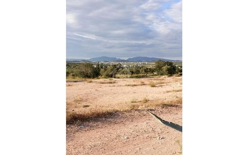 Terrain 5