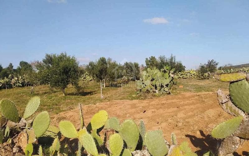Terrain 3