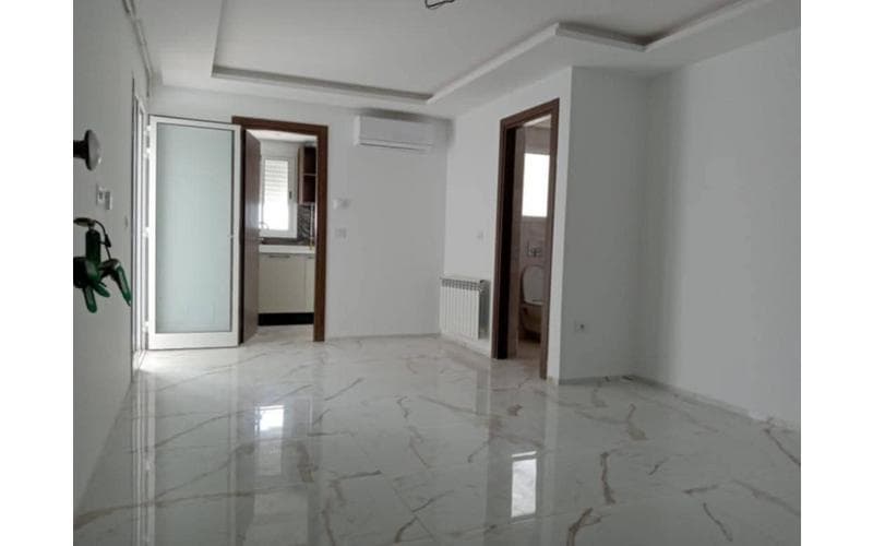 Appartement s+2