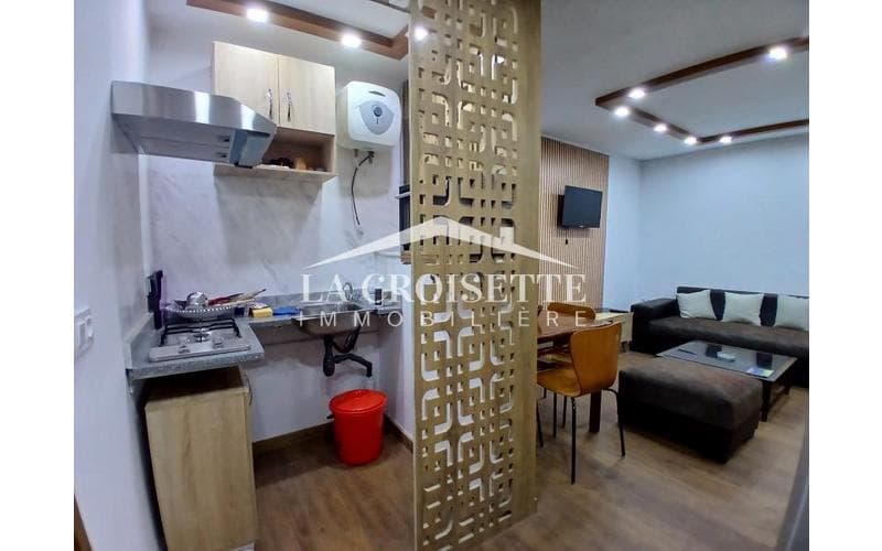 Appartement s+1 3