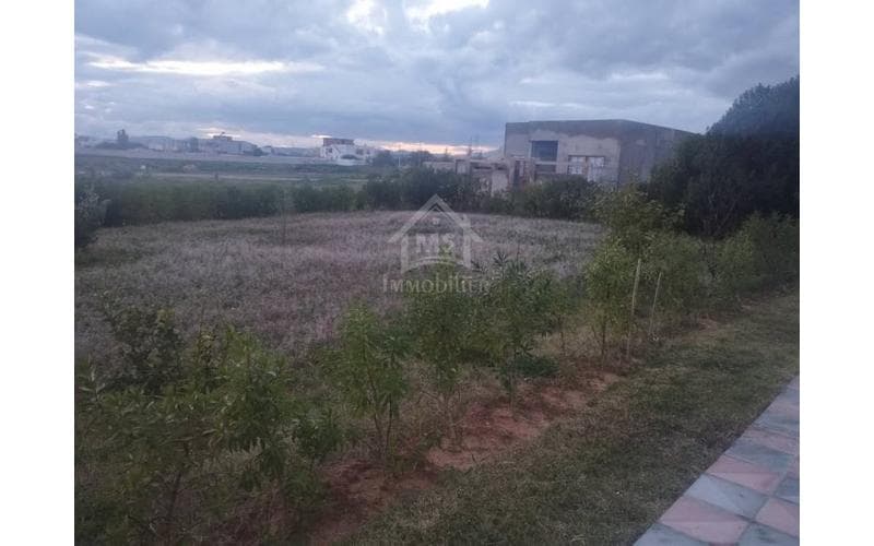 Villa s+5 et plus 14