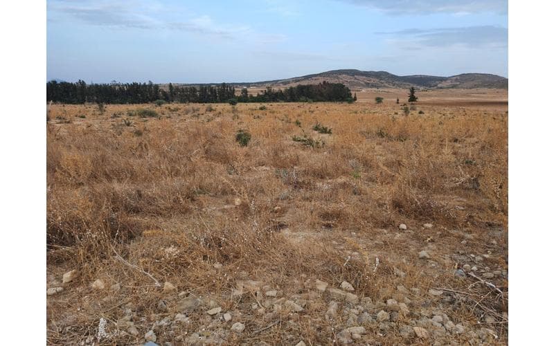 Terrain