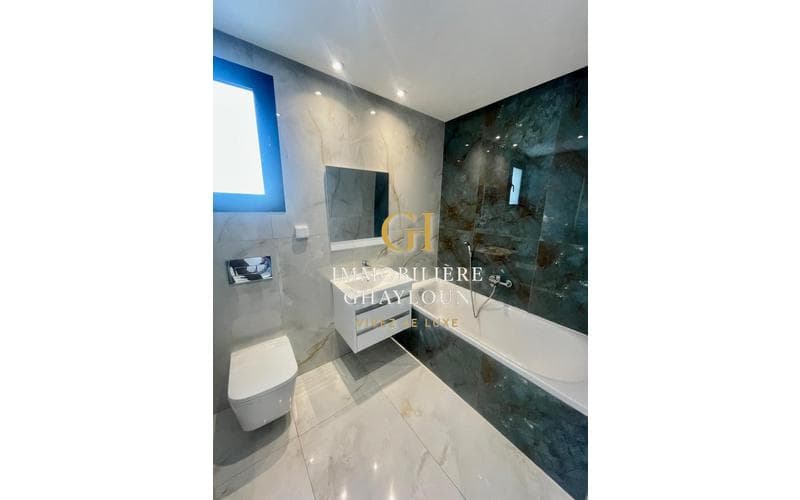 Appartement s+3 2