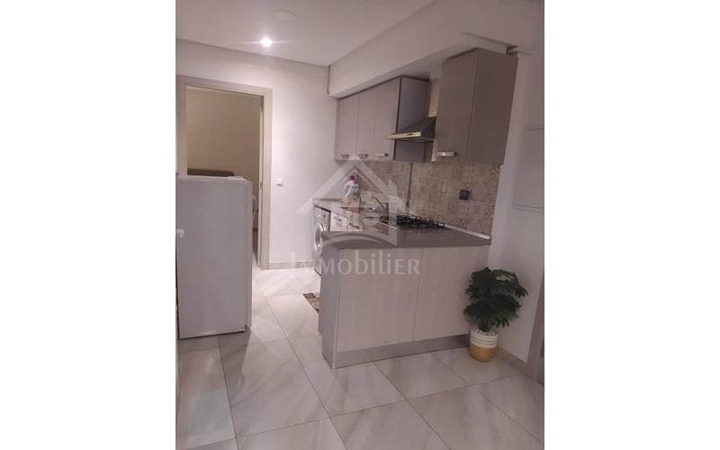 Appartement s+1 3