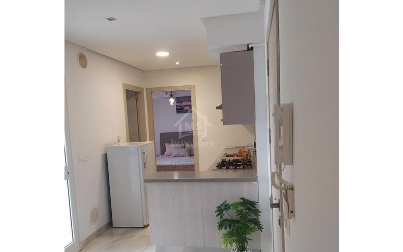Appartement s+1 4