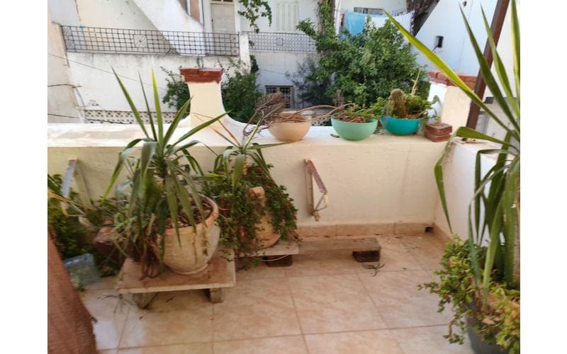 Appartement s+2 10
