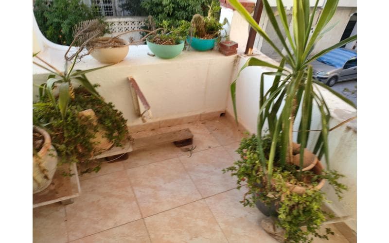 Appartement s+2 11
