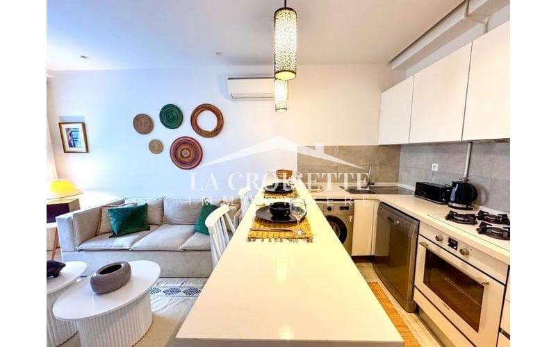 Appartement s+1 3