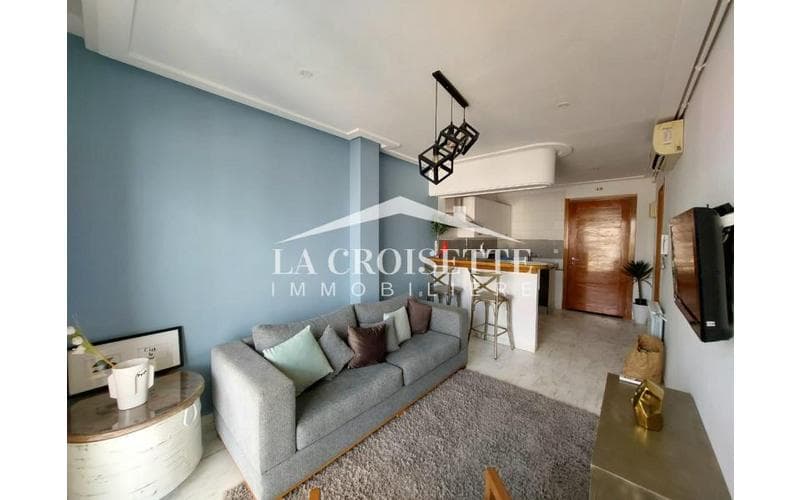 Appartement s+4