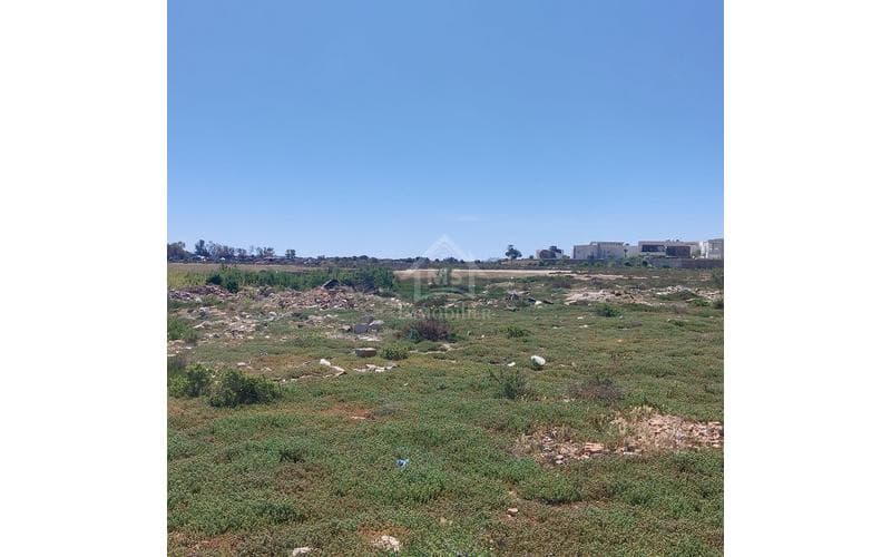 Terrain 3