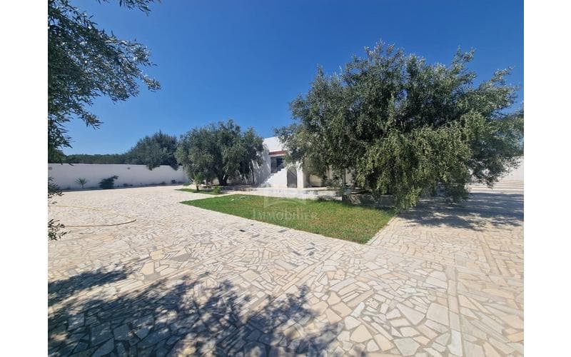 Maison s+2 7