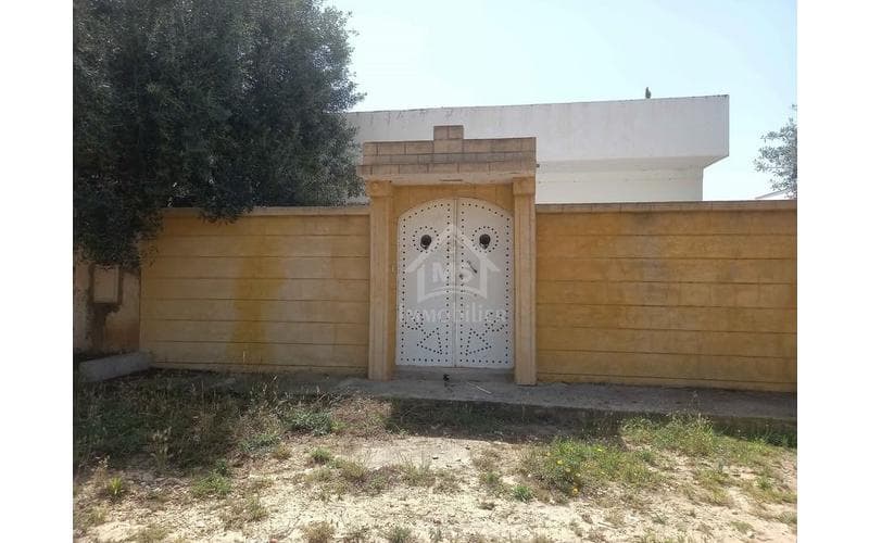 Maison s+2