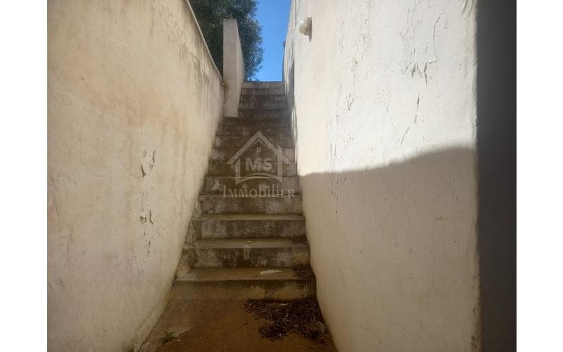 Maison s+2 6